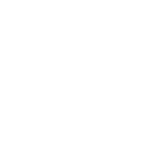 Two Hands holding a globe