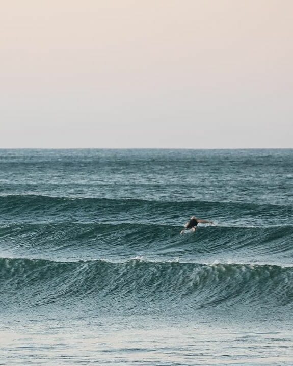 Surfer paddling out to catch waves in a calm ocean during sunset.